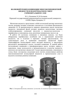 Волновой режим конвекции многокомпонентной жидкости в подогреваемом снизу горизонтальном слое