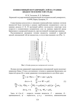 Конвективный пограничный слой на границе жидкости и пористой среды
