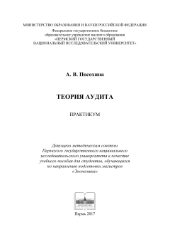 Теория аудита: практикум