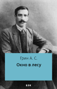 Окно в лесу