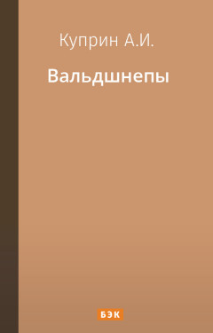 Вальдшнепы