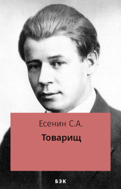 Товарищ