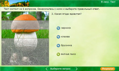 В лесу. Тест