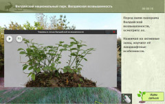 Валдайский национальный парк. Валдайская возвышенность