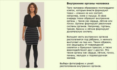 Внутренние органы человека