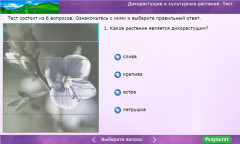 Дикорастущие и культурные растения. Тест