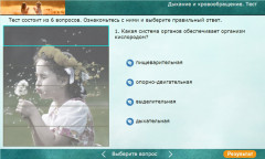 Дыхание и кровообращение. Тест