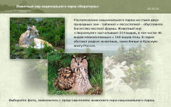 Животный мир национального парка «Зюраткуль»