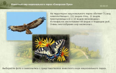 Животный мир национального парка «Самарская Лука»