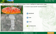 Жизнь леса. Тест
