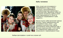 Зубы человека