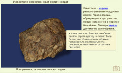 Известняк окремненный коричневый