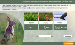 Изучение законов биологической продуктивности. Пищевая цепь 1