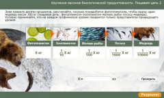 Изучение законов биологической продуктивности. Пищевая цепь 2