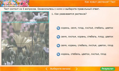 Как живут растения? Тест