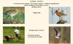 Кулики. Часть 3