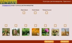 Культуры растениеводства. Практика 1