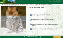 Лес и человек. Тест
