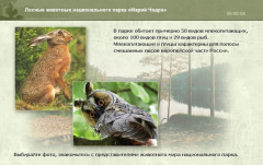 Лесные животные национального парка «Марий Чодра»
