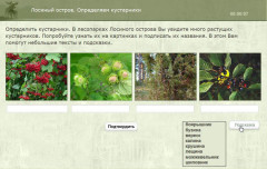 Лосиный остров. Определяем кустарники