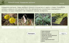 Лосиный остров. Определяем растения