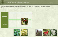 Лосиный остров. Собираем кустарники