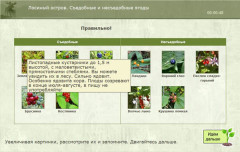 Лосиный остров. Съедобные и несъедобные ягоды