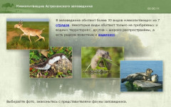 Млекопитающие Астраханского заповедника