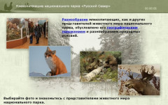 Млекопитающие национального парка «Русский Север»