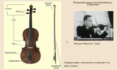 Музыкальные инструменты. Скрипка
