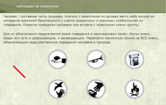 Наблюдаем за животными
