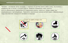 Наблюдаем за растениями