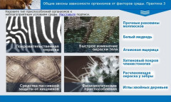 Общие законы зависимости организмов от факторов среды. Практика 3