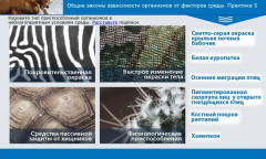 Общие законы зависимости организмов от факторов среды. Практика 5