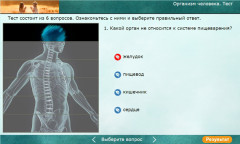 Организм человека. Тест