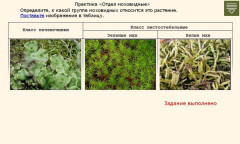 Отдел моховидные. Практика