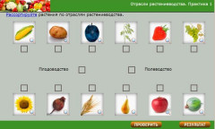 Отрасли растениеводства. Практика 1