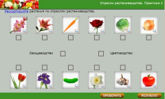 Отрасли растениеводства. Практика 2