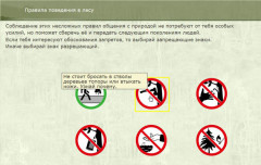 Правила поведения в лесу