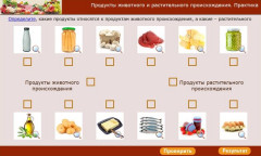 Продукты животного и растительного происхождения. Практика