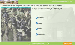 Разнообразие веществ. Тест