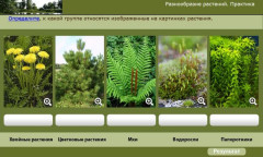 Разнообразие растений. Практика
