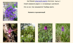 Растения Красной книги России. Часть 2
