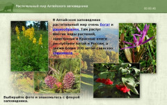 Растительный мир Алтайского заповедника