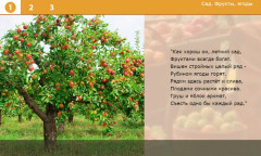 Сад. Фрукты, ягоды