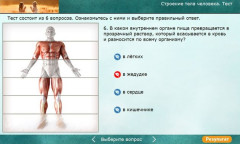 Строение тела человека. Тест
