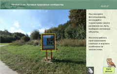 Тёплый Стан. Луговые природные сообщества
