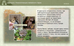 Царицыно. Млекопитающие пейзажного парка