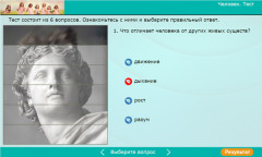 Человек. Тест