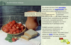 Экологическое питание